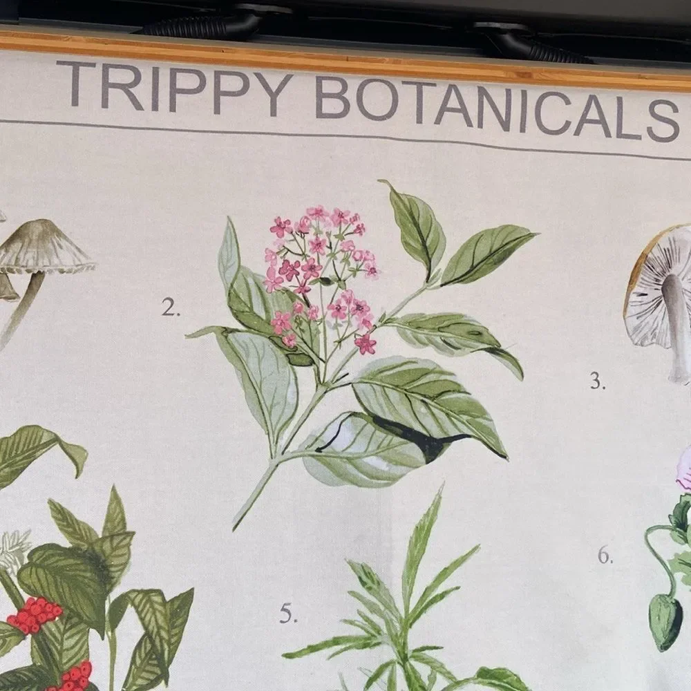 Trippy Botanicals Illustrated Tapestry Urban Outfitters wall hanging